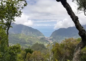 COP30: ONU lança plano de arrefecimento sustentável que pode reduzir emissões em 64%