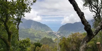 COP30: ONU lança plano de arrefecimento sustentável que pode reduzir emissões em 64%