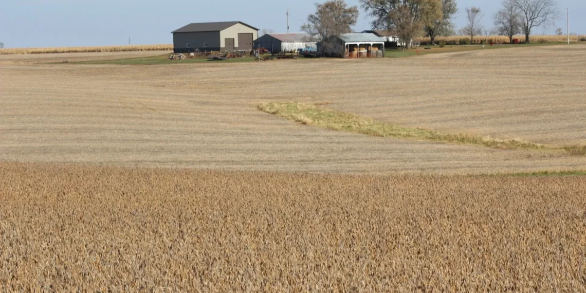 Acordos de apoio a agricultores dos EUA e compras da China serão fechados em semanas