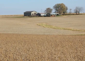 Acordos de apoio a agricultores dos EUA e compras da China serão fechados em semanas