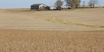 Acordos de apoio a agricultores dos EUA e compras da China serão fechados em semanas