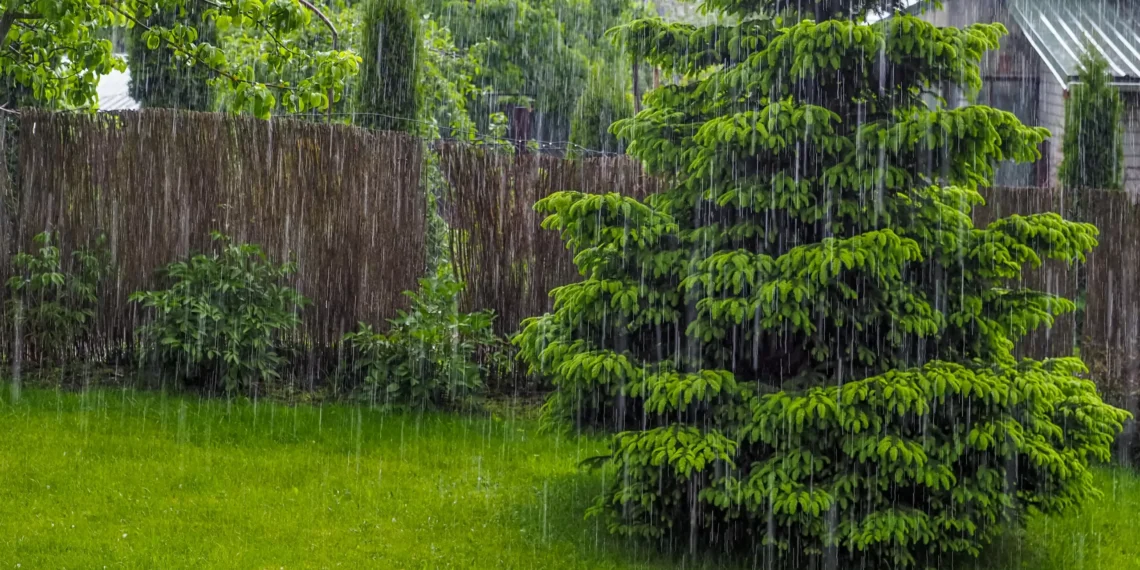 Inmet emite alerta para forte chuva em 14 estados