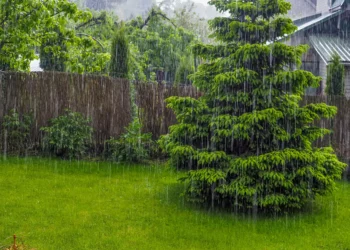 Inmet emite alerta para forte chuva em 14 estados