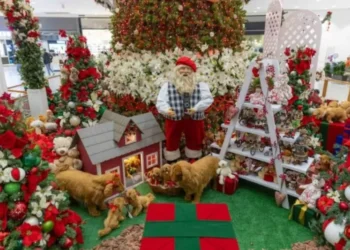 Norte Shopping aposta em oficinas natalinas e decoração interativa para envolver as crianças em Blumenau