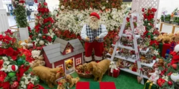 Norte Shopping aposta em oficinas natalinas e decoração interativa para envolver as crianças em Blumenau