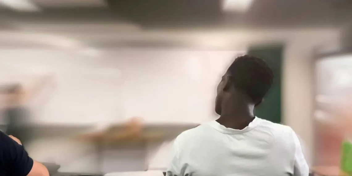 Alesc aprova fim das cotas raciais nas faculdades públicas de Santa Catarina