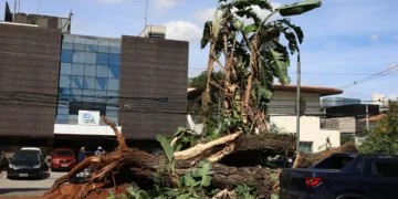 Apagão em SP pode ter causado prejuízo de até R$ 77,5 milhões ao comércio, diz ACSP
