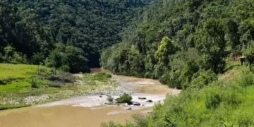 TCE de Santa Catarina suspende licitação milionária para barragem no Vale do Itajaí