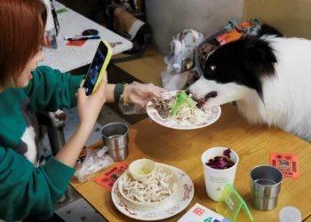 Visão e olfato já não chegam. Em vez de 5 sentidos, humanos podem ter até 33