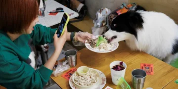 Visão e olfato já não chegam. Em vez de 5 sentidos, humanos podem ter até 33