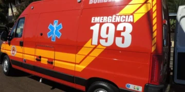 Bombeiros realizam resgate em altura após trabalhador passar mal em CEI de Blumenau