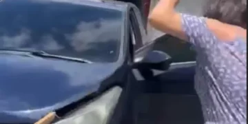 Família se prepara para sair, mas um ‘visitante’ inesperado muda os planos em Rio dos Cedros