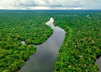 Plano Clima é aprovado e define ações do Brasil até 2035