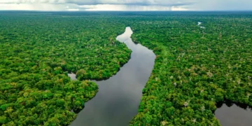 Plano Clima é aprovado e define ações do Brasil até 2035