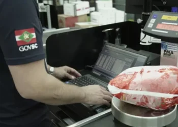 Operação em SC identifica irregularidades em produtos natalinos e retira itens fora das normas do mercado
