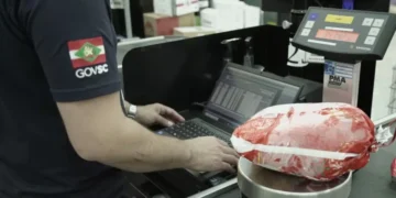 Operação em SC identifica irregularidades em produtos natalinos e retira itens fora das normas do mercado