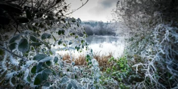 Massa de ar polar vai provocar queda de neve e descida das temperaturas no fim de semana