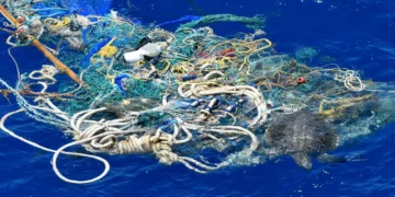 Conheça 8 ameaças que prejudicam os oceanos