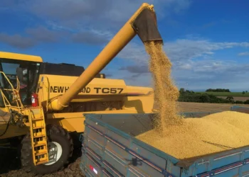 IGP-M fecha 2025 com queda acumulada de 1,05%, puxada por preços ao produtor