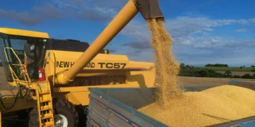 IGP-M fecha 2025 com queda acumulada de 1,05%, puxada por preços ao produtor