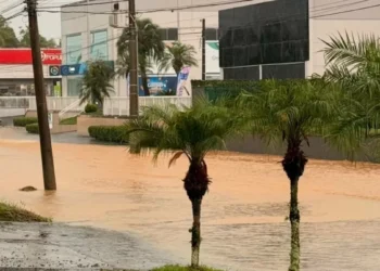 Defesa Civil de Timbó monitora áreas alagadas após chuva diminuir e avalia situação de moradores