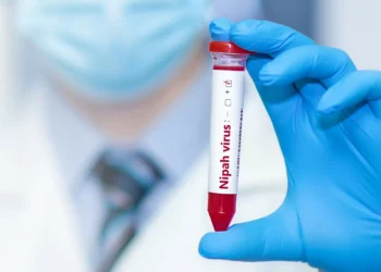 Entrevista: há risco de um surto do vírus Nipah?