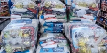 TCE de Santa Catarina manda devolver R$ 164 mil por irregularidades na distribuição de cestas básicas