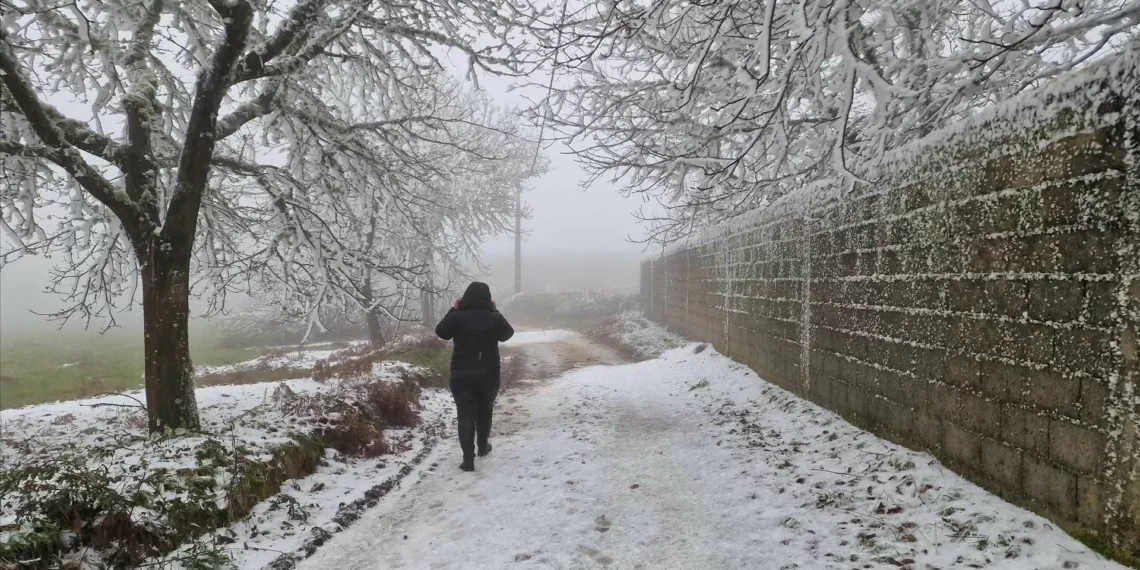 Por que é que há tantas infeções no inverno se o frio não provoca gripe?