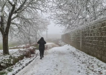 Por que é que há tantas infeções no inverno se o frio não provoca gripe?