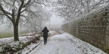 Por que é que há tantas infeções no inverno se o frio não provoca gripe?