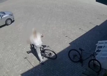 É um atrás do outro: criminoso solto com tornozeleira volta a cometer furto em Timbó