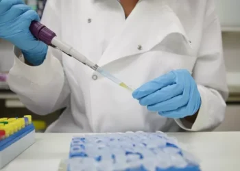 Infeções por Candida auris confirmadas em hospitais públicos entre 2022 e 2025