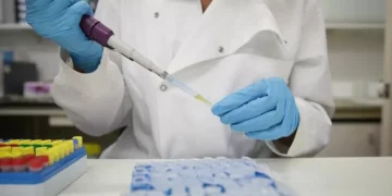 Infeções por Candida auris confirmadas em hospitais públicos entre 2022 e 2025