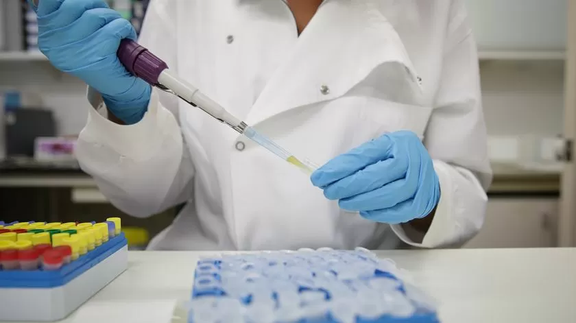 Infeções por Candida auris confirmadas em hospitais públicos entre 2022 e 2025