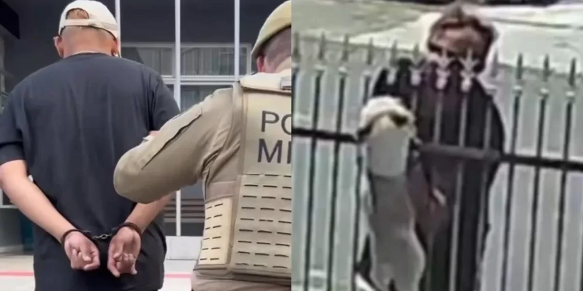 Homem flagrado furtando dois Shih Tzu, em Timbó, é preso por furto de bicicleta