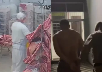 Funcionário é morto a facadas em frigorífico de Itajaí; autor é preso em Indaial