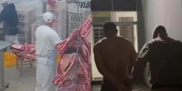 Funcionário é morto a facadas em frigorífico de Itajaí; autor é preso em Indaial