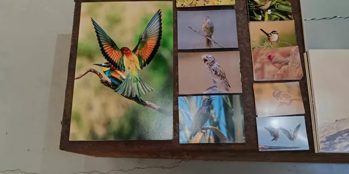 Uma exposição de aves para mostrar que a “Palestina tem muita vida”