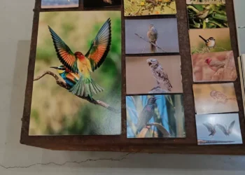 Uma exposição de aves para mostrar que a “Palestina tem muita vida”