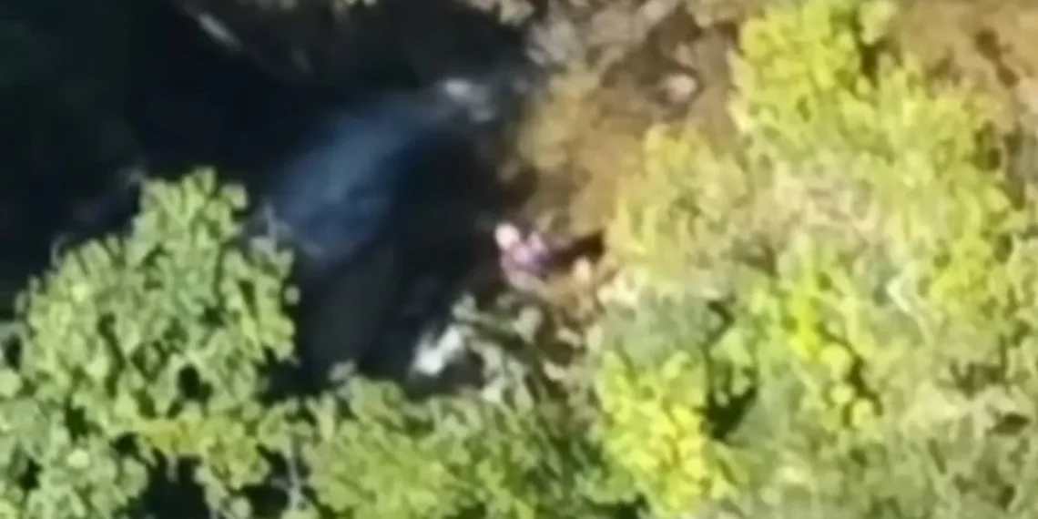 Homem desaparecido em trilha é resgatado pelos Bombeiros em SC