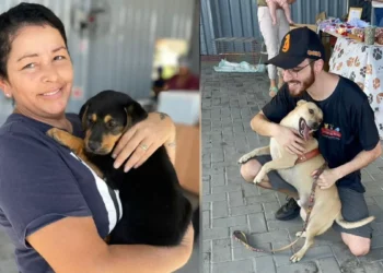 Feirinha Beneficente Amigo do Bicho chega à 14ª edição com programação ampliada e expectativa de grande público