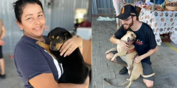 Feirinha Beneficente Amigo do Bicho chega à 14ª edição com programação ampliada e expectativa de grande público