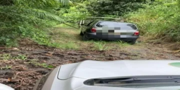 Polícia Militar recupera carro furtado e prende suspeito após cerco na BR-470, em Apiúna