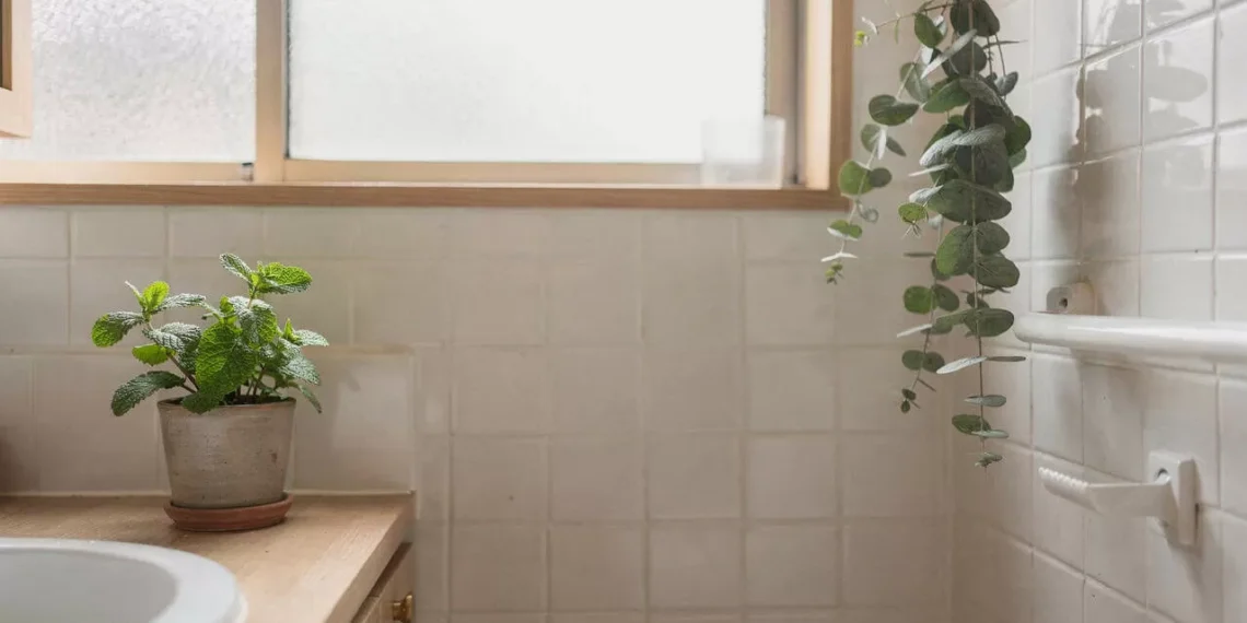 Não é mito: hábito japonês transforma ambientes e oferece relaxamento