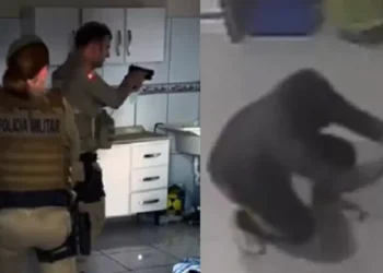 Autor de mais de 20 furtos e R$ 100 mil em prejuízos a empresas de Timbó e Indaial é preso