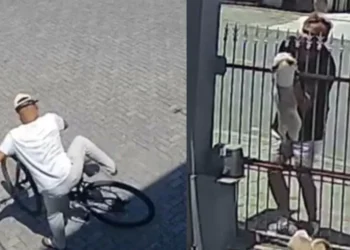 Após dizer que “vigia hackers”, homem que furtou bikes e cães em Timbó tem prisão em flagrante convertida