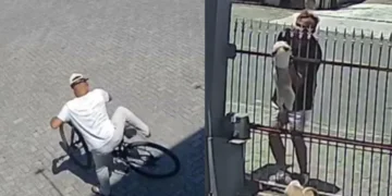 Após dizer que “vigia hackers”, homem que furtou bikes e cães em Timbó tem prisão em flagrante convertida