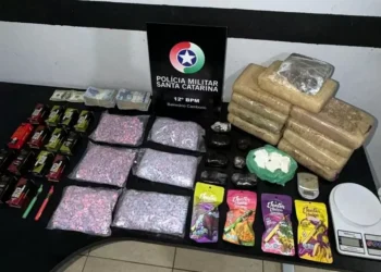 Carga milionária de drogas é apreendida durante ação da PM em SC