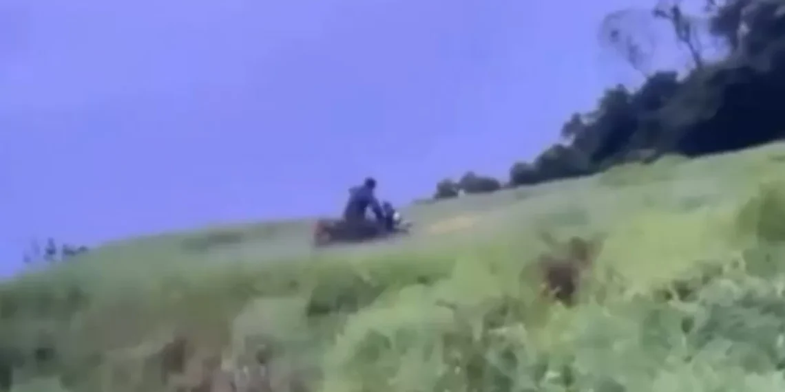 Vídeos nas redes sociais revelam vandalismo em área rural de SC