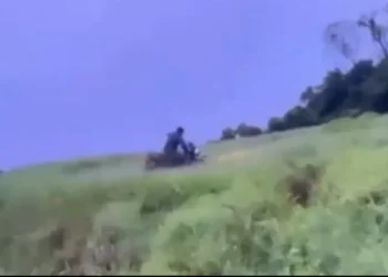 Vídeos nas redes sociais revelam vandalismo em área rural de SC